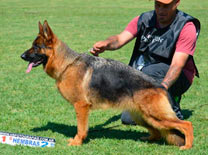 Delfina Von Baires Land