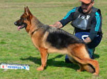 Delfina Von Baires Land