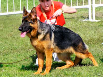 Delfina Von Baires Land