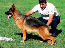 Diiza Von Baires Land