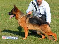 Diiza Von Baires Land