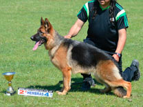 Loreley Vom Baires Land