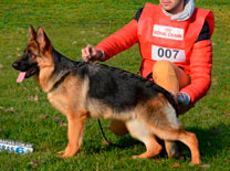 Loreley Vom Baires Land