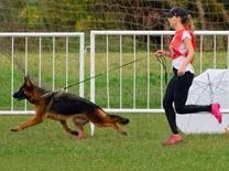 Delfina Von Baires Land