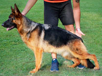 Delfina Von Baires Land